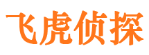 南川市婚外情调查